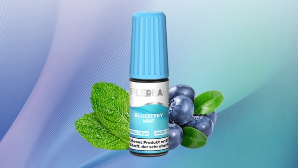 Flerbar Liquid 20mg Blueberry Mint