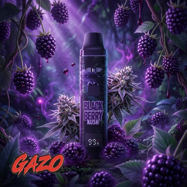 GAZO VAPE H3BTA 1ml Blackberry