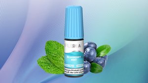 Flerbar Liquid 20mg Blueberry Mint Bild 1